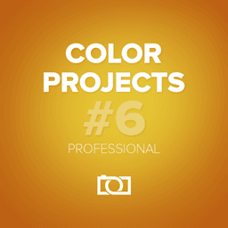 COLOR Projects Professional Icon