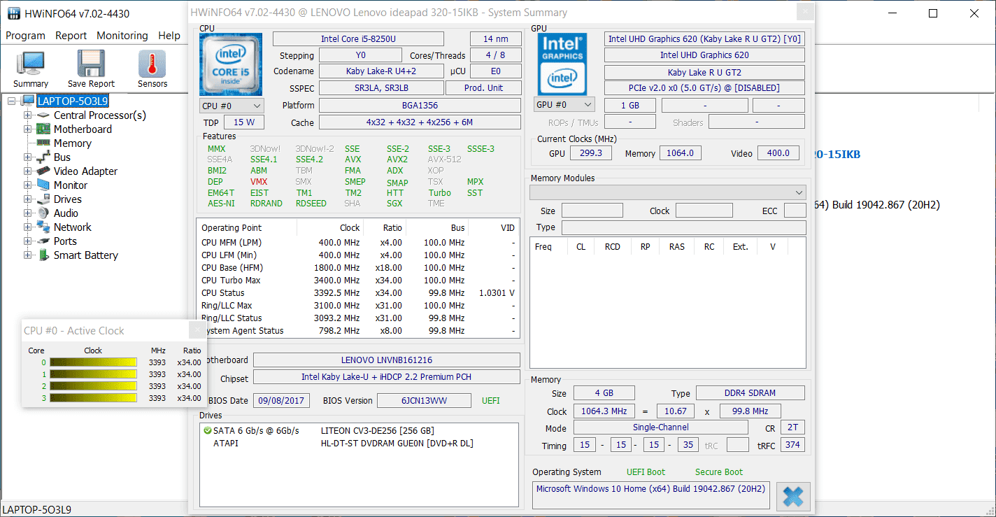 CPU Details HWiNFO CPU Details Screenshot
