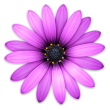 TextMate 2.0.6 / 1.5.11 for Mac