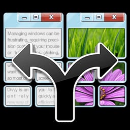 Divvy Icon