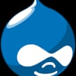 Drupal 11.3.5